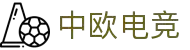 中欧电竞-官方电竞行业引领者